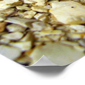 ヤギ蛾キャタピラのポスター ポスター (角)