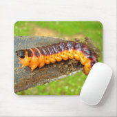 ヤギ蛾キャタピラーマウスマット マウスパッド (マウス)