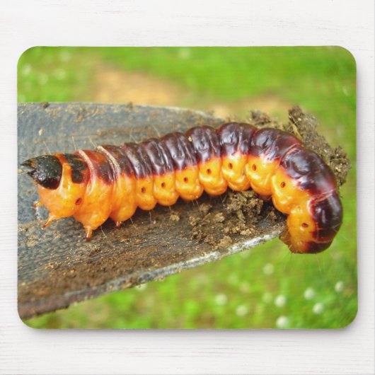 ヤギ蛾キャタピラーマウスマット マウスパッド (正面)