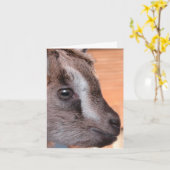 ヤギ視聴テレビ カード (黄色い花)