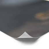 ヤギ遊子 ポスター (角)