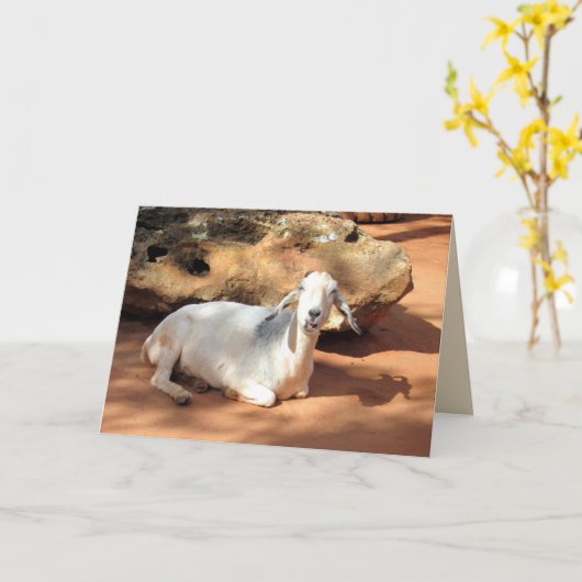 ヤギ間抜けヤ カード (黄色い花)