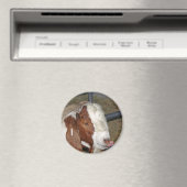 ヤギ間抜けヤ マグネット (インサイチュ (食洗機))