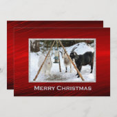 ヤギ雪フィーダー写真クリスマスフラット シーズンカード (正面/裏面)