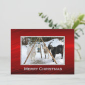 ヤギ雪フィーダー写真クリスマスフラット シーズンカード (スタンド正面)