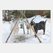 ヤギ雪フィーダー写真 ラッピングペーパーシート (正面3)