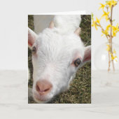 ヤギ顔 カード (黄色い花)