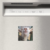 ヤギ顔 マグネット (インサイチュ (食洗機))