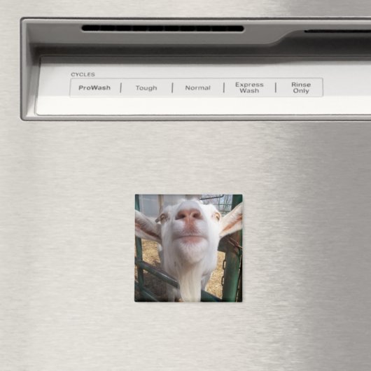 ヤギ顔 マグネット (インサイチュ (食洗機))