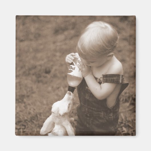 ヤギ食べ物を与えの磁石 マグネット (正面)