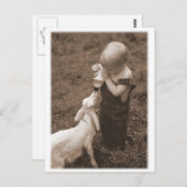 ヤギ食べ物を与えは ポストカード (正面/裏面)