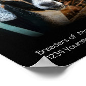 ヤギ飼育者事業ポスター ポスター (角)