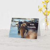 ヤギ黒褐色の動物の写真悔やみや弔慰 カード (黄色い花)