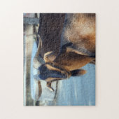 ヤギ黒褐色の動物の写真 ジグソーパズル (縦)