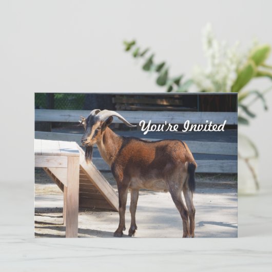 ヤギ黒褐色の角動物プロファイル誕生日 招待状 (スタンド正面)