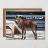 ヤギ黒褐色の角動物プロファイル誕生日 招待状 (正面/裏面)