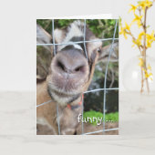 ヤギ鼻誕生日ユーモア カード (黄色い花)