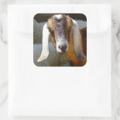 ヤギ2シール スクエアシール (バッグ)