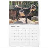 ヤギ2025 カレンダー (2月 2026)