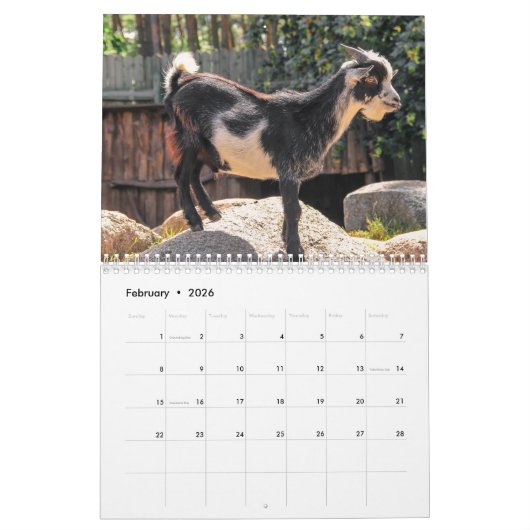 ヤギ2025 カレンダー (2月 2026)