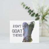 ヤギ 「そこに行くな」 ポストカード (スタンド正面)