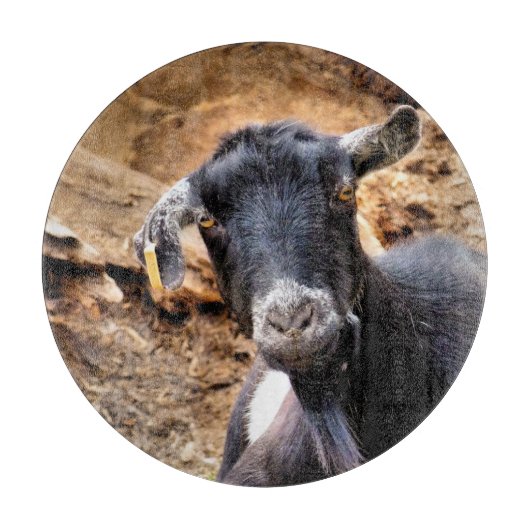 ヤギ カッティングボード (正面)