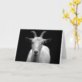 ヤギ カード (黄色い花)