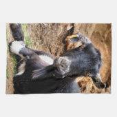 ヤギ キッチンタオル (横)