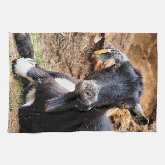 ヤギ キッチンタオル (横)