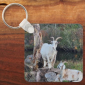 ヤギ キーホルダー (正面)
