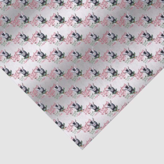 ヤギ |クリスマスウィッシュベビーヤギキスナイジェリア 薄葉紙 (詳細)