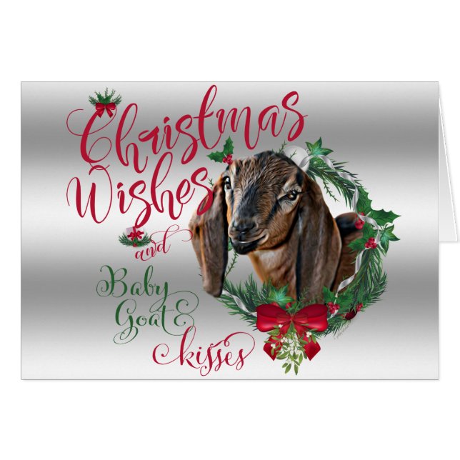 ヤギ |クリスマスウィッシュベビーヤギキスNubian 2 (正面横)