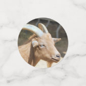 ヤギ コンフェッティ (スモール正面)