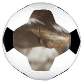ヤギ サッカーボール (回転)