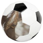 ヤギ サッカーボール (3/4)