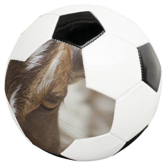 ヤギ サッカーボール (3/4)