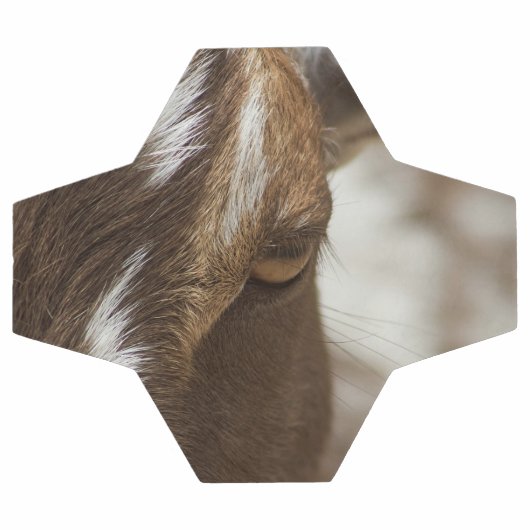 ヤギ サッカーボール (フラット)