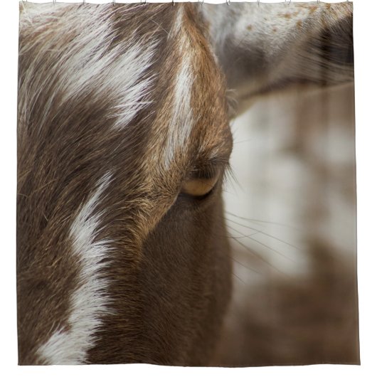 ヤギ シャワーカーテン (正面)