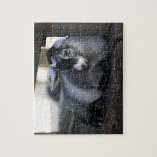 ヤギ ジグソーパズル (縦)
