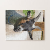 ヤギ ジグソーパズル (横)