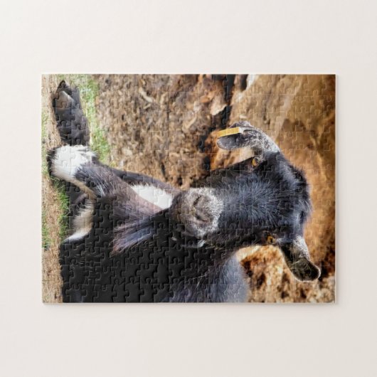 ヤギ ジグソーパズル (横)