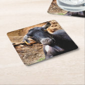 ヤギ スクエアペーパーコースター (アングル)