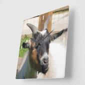 ヤギ スクエア壁時計 (傾斜)