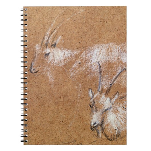 ヤギ(スケッチ)の勉強 ノートブック (正面)