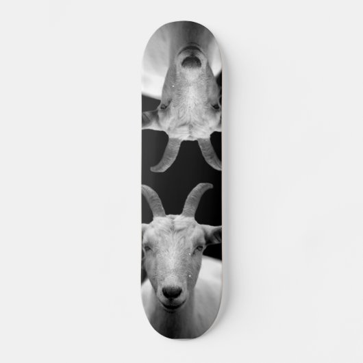 ヤギ スケートボード (正面)
