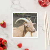 ヤギ スタンダードカクテルナプキン (インサイチュ)