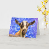 ヤギ&スターズ誕生日 カード (黄色い花)