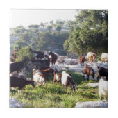 ヤギ タイル (正面)