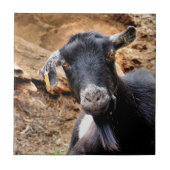 ヤギ タイル (正面)