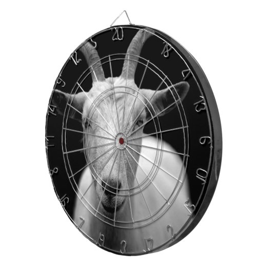 ヤギ ダーツボード (正面右)